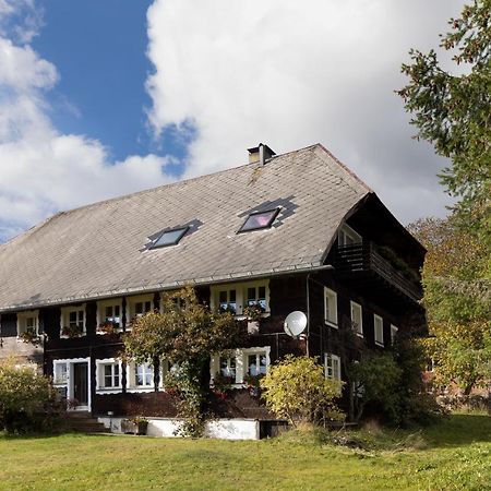 Villa Waelder: Quartier Dachsberg à Dachsberg im Schwarzwald Extérieur photo